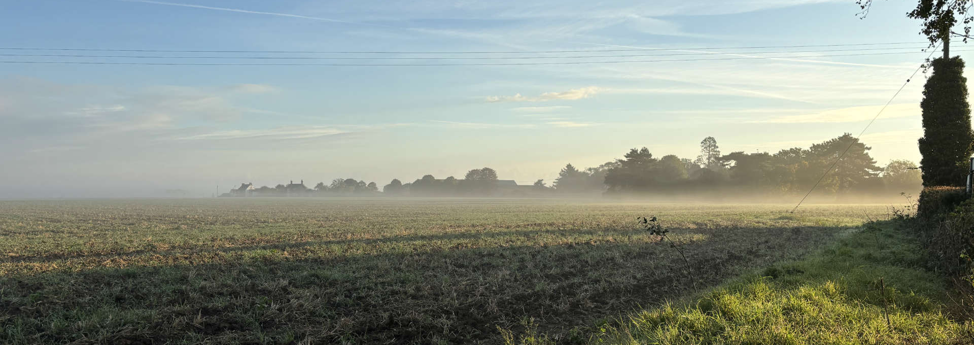 homepage Field at sunrise with mist over the ground, trees in the distance, and blue sky with light cloud.
